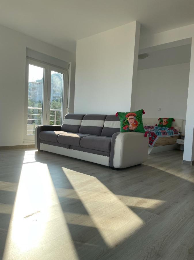 PetrovacUpart Houseアパートメント エクステリア 写真